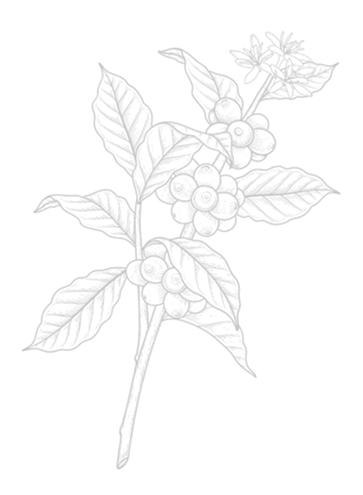 menu_deco3